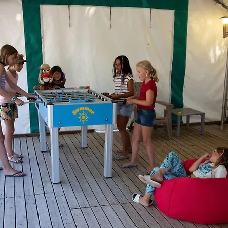Kemping Mobil Home, Animaux Admis - 10 Pers. - Api-1-52-2466 Groléjac